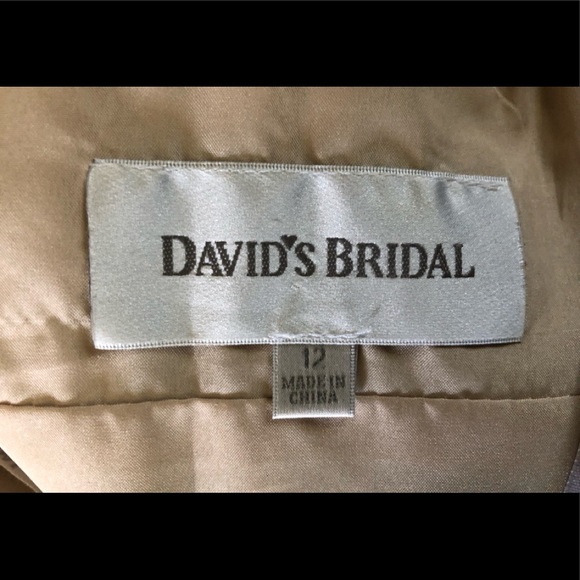 David's Bridal Mesh Beaded Prom Dress 12 Gorgeous Tulle Caviar Embellished - Picture 13 of 15